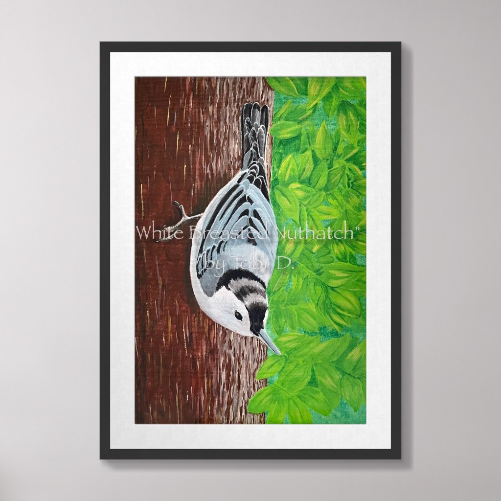 “White Breasted Nuthatch”